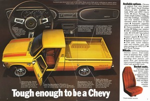 1979 Chevrolet LUV-06-07.jpg